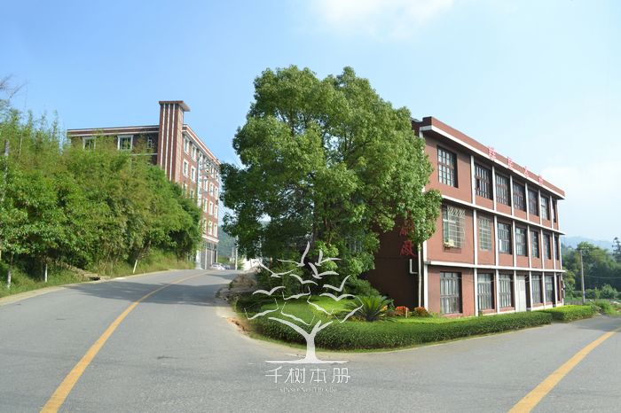 上海千树文化用品有限公司