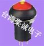 带灯防水按钮开关