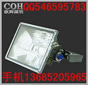 2000W外场投光灯  NTC9250大功率外场投光灯