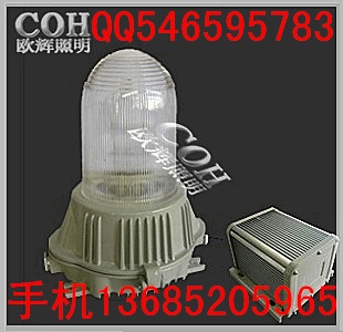 ZD001防水防尘防腐专用路灯NLC9600 道路灯