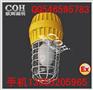 CCD92防爆照明灯 防爆无极灯、BAD83防爆无极灯价格