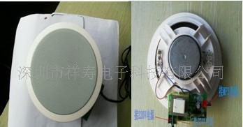 有源天花喇叭、天花喇叭、有源天花喇叭报价