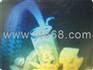 供应3D立体全息防伪商标
