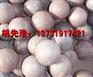 供应高铬球热处理