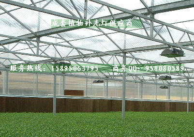 温室补光系统灯具、农用高压钠灯灯具成套  植物生长钠灯