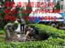 丰台区清洗管道疏通下水道 67664789 专业抽粪抽泥浆