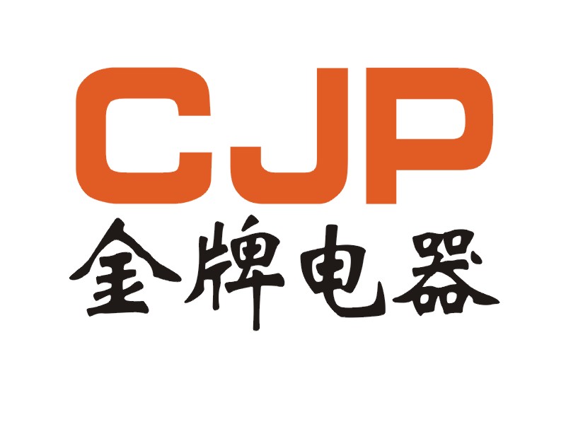 乐清市标普电器有限公司Logo