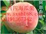供应李子桃柿子核桃