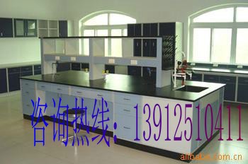 实验室工作台，中央实验台，通风柜等全套家具生产  化验台  实验室操作台