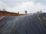 福建供应垃圾填埋场防渗专用优质土工膜