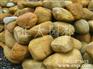大型石场长期大量直销英德石园林石黄蜡石