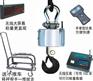 20吨吊磅秤/30吨吊磅秤/50吨吊磅秤/100吨吊磅秤