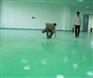 大量供应 广西 环氧地坪材料 环氧施工