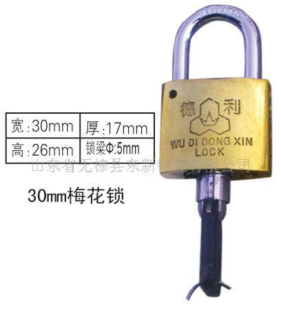 35mm40mm铜挂锁,塑钢锁,防撬锁,磁锁,感应锁 表箱锁 锁具 电表箱