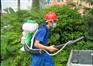 中山杀螨虫跳蚤臭虫白蚁