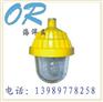 BPC8730-J100防爆平台灯
