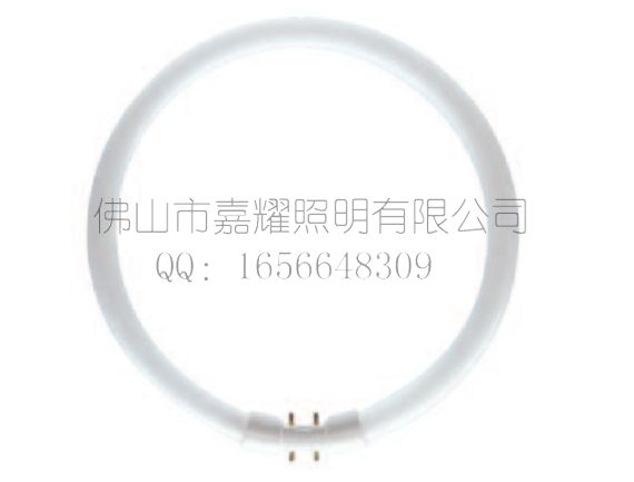 飞利浦 T5 22-40W环型荧光灯管