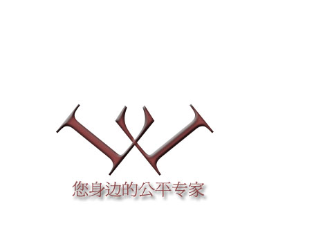 上海柳讯电子有限公司Logo