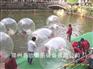 河南专业定做水上游乐设备|水上步行球pvc报价|滚筒球