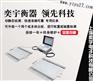 供应40吨汽车轴重秤▓▓30吨汽车轴重秤▓▓40吨汽车轴重秤