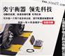 供应轴重秤！！！轴重秤价格！便携式轴重秤价格！！奕宇最便宜！