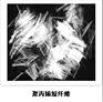 聚丙烯短纤维