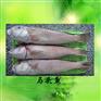 北部湾马头鱼批发、冷冻马头鱼招商代加工