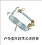供应户外交流熔断器RW10