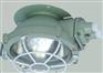 供应BXL-100防爆吸顶灯/新黎明防爆吸顶灯/吸顶灯价格/