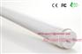 供应 T8 LED 日光灯