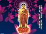 佛卡~佛卡制作~制卡工厂,制卡厂家,供应商,批发商