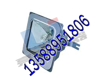 《NFE9100防眩应急棚顶灯》ˋNFE9100ˋNFE91&nbsp;&nbsp;广照防水通路灯