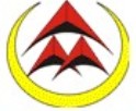 深圳众辉科技有限公司Logo