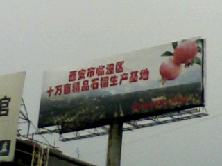西安市临潼区鹏飞石榴柿子专业合作社Logo