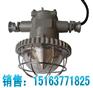 供应DGS12W/127L（B）防爆巷道灯