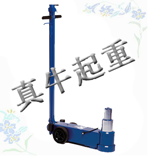 湘西气动液压式千斤顶销售|100吨气动液压式千斤顶生产厂家