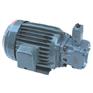 供应VP-30-A1-1HP-4P直接式电机附定量变量叶片泵
