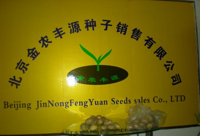 北京金农丰源种子销售有限公司Logo