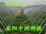 供应环保大棚骨架机  安阳中洲科技