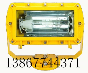 BFC8100=BFC8100 外场强光防爆泛光灯  金卤灯 钠灯