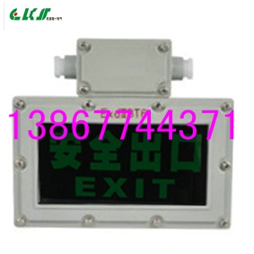 BAYD81=BXE8401防爆安全出口标志灯