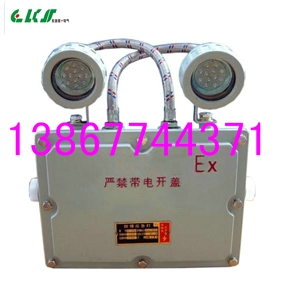 BAJ52=BXW6229防爆应急灯（LED光源）