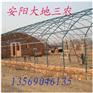 供应安阳多功能温室大棚骨架大棚骨架机