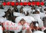供应山东波尔山羊价格 养殖什么品种的羊好