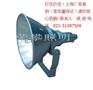 供应NTC9200 防震型投光灯