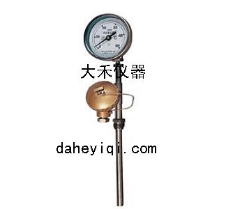 一体化双金属温度计  大禾