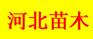 河北苗木、河北苗木基地、河北苗木价格、河北苗木苗圃