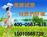 各色粉末涂料