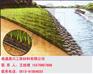 供应南通@苏州@泰州涤纶土工格栅^^()三维植被网垫