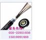 统统检测{24芯单模光纤-12芯单模光纤-4芯单模光纤}合格
